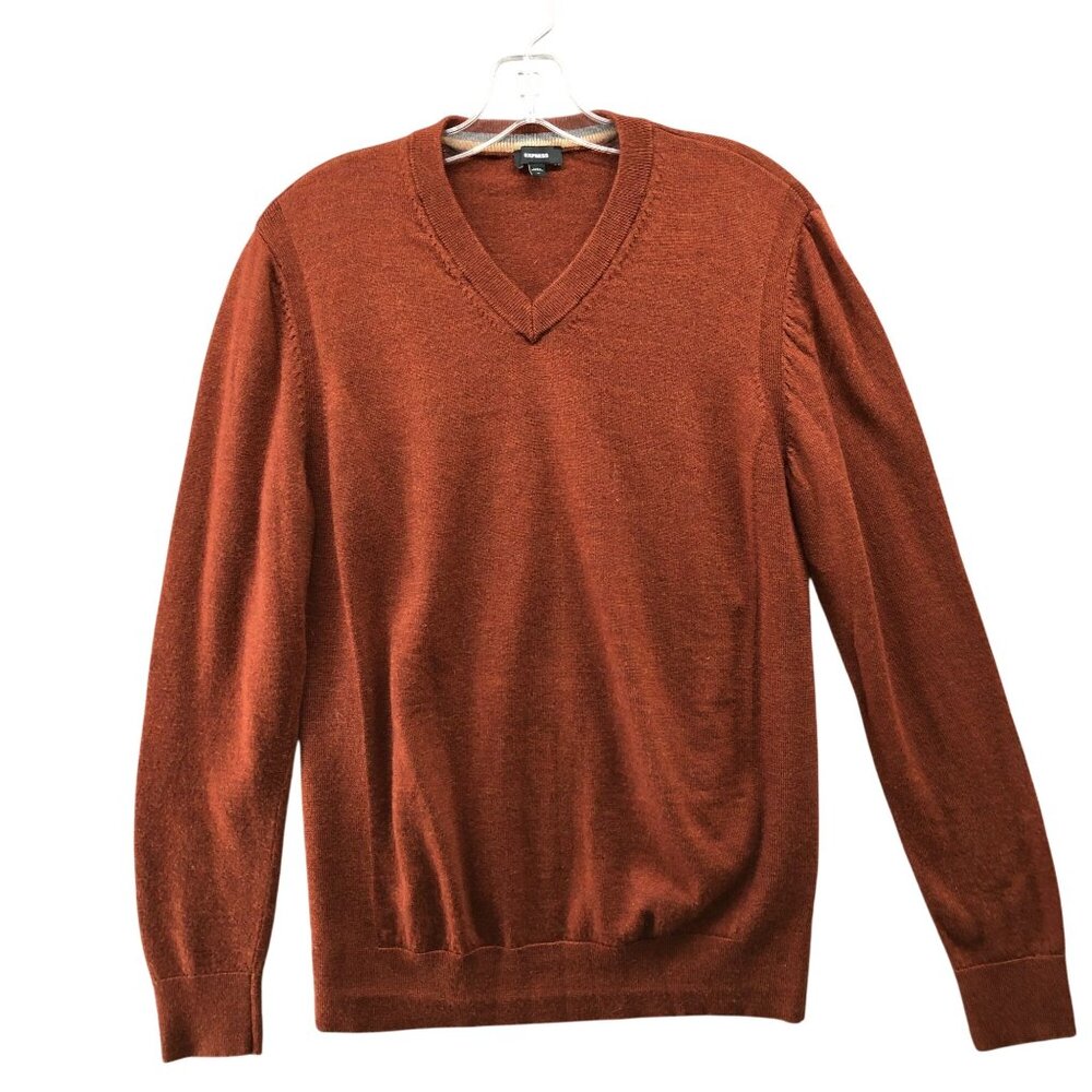 Express 100% Merino Wool Sweater‎ Mens M V-Neck Brown Pullover Lightweight